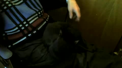 muller520 online show from 24, 3, 2026