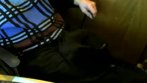 muller520 online show from 28, 3, 2026