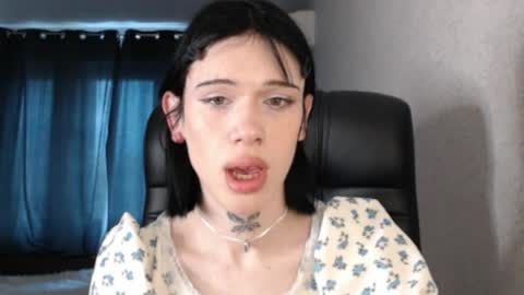 Polik online show from 2, 4, 2026