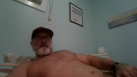 Snapshot of musclemeat41 chatting on 18, 12, 2024 musclemeat41 online show from 18, 12, 2024