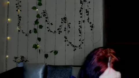 Jeneva online show from 31, 1, 2026