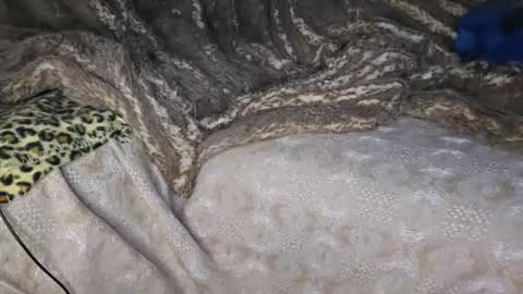 Muzzy online show from 18, 4, 2026