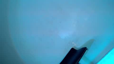 Snapshot of my_other_half chatting on 8, 2, 2025 Serena online show from 8, 2, 2025