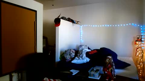 Snapshot of mycock4u247 chatting on 7, 10, 2025 LA MARIPOSA DE MARICOPA online show from 7, 10, 2025