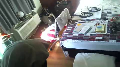 Snapshot of mycock4u247 chatting on 30, 11, 2025 LA MARIPOSA DE MARICOPA online show from 30, 11, 2025