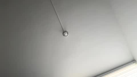 jacke BUNNY online show from 12, 3, 2025