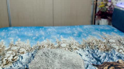 Myrabelle24 online show from 5, 3, 2025