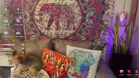 Snapshot of mysaris3 chatting on 10, 2, 2025 S A R A online show from 10, 2, 2025