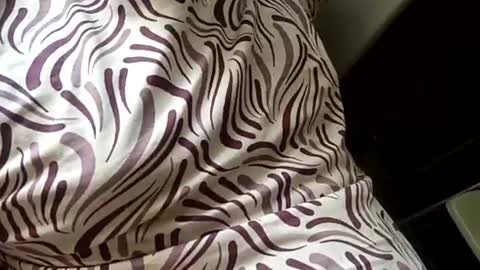 Snapshot of mysolo198777 chatting on 16, 1, 2026 Mysolo1987 online show from 16, 1, 2026