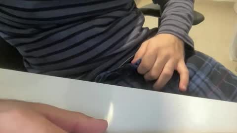 myStallion online show from 26, 11, 2025