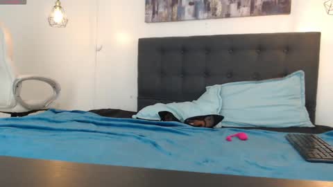 No Name online show from 5, 1, 2025