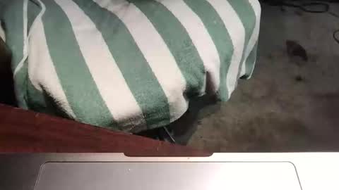 Snapshot of mythickness chatting on 15, 1, 2025 mythickness online show from 15, 1, 2025