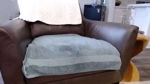 Snapshot of n2deeeep chatting on 10, 11, 2025 Lynn online show from 10, 11, 2025