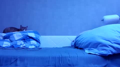 n3philim999 online show from 12, 10, 2025