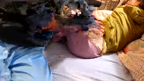 n55emo online show from 4, 2, 2026