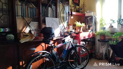 Naked Naturist online show from 6, 4, 2026