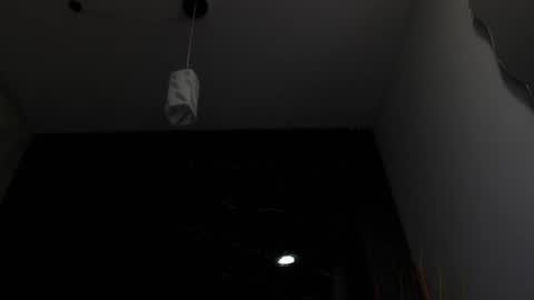 NALAROY online show from 15, 2, 2025