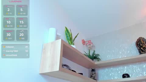   online show from 21, 12, 2024