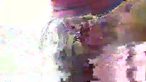 Nane online show from 6, 6, 2026