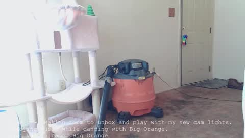 Snapshot of nannabaldur chatting on 16, 12, 2025 Nanna Baldur online show from 16, 12, 2025