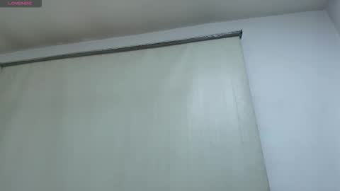 Snapshot of naomy_tay1 chatting on 23, 12, 2025 Naomy online show from 23, 12, 2025