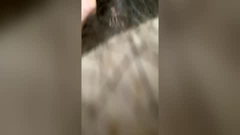 narutotheone online show from 30, 6, 2026