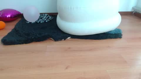 nath_dawson online show from 16, 2, 2025