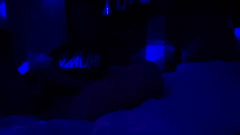 Haven online show from 8, 1, 2026