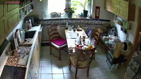 Nature online show from 16, 4, 2026