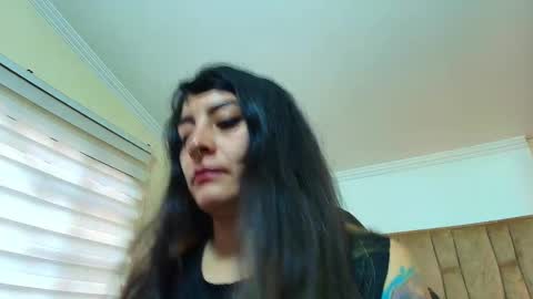 Kitten online show from 2, 3, 2026