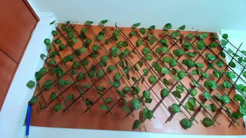 Snapshot of naughty_kittenm chatting on 8, 4, 2026 Kitten online show from 8, 4, 2026