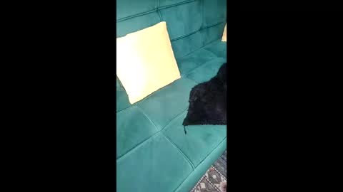 call me sheyda online show from 21, 4, 2026