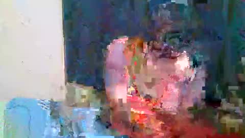 jn online show from 25, 3, 2026