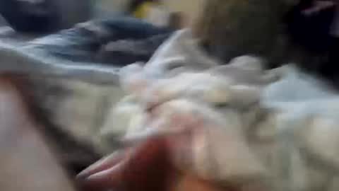 naughtyfelons6969 online show from 4, 10, 2025