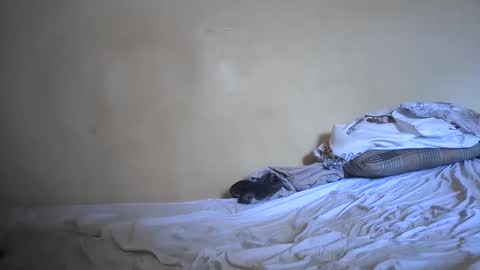 Snapshot of naughtyjessy34323 chatting on 16, 12, 2025 Jessy online show from 16, 12, 2025