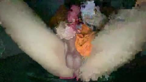 Rose Wilson online show from 11, 4, 2026