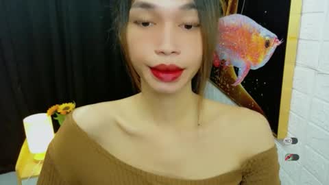 Celine online show from 9, 9, 2025