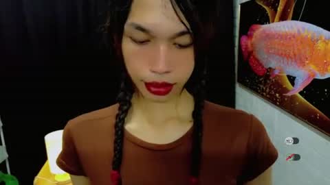 Celine online show from 13, 9, 2025