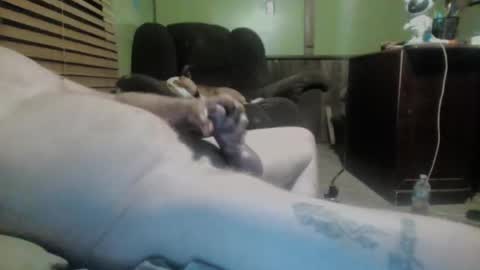 Snapshot of ned_is_naughty chatting on 7, 3, 2025 ned is naughty online show from 7, 3, 2025