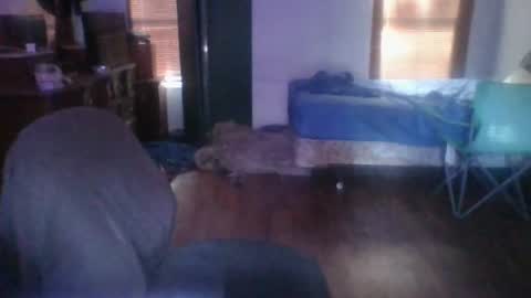 ned is naughty online show from 24, 6, 2026