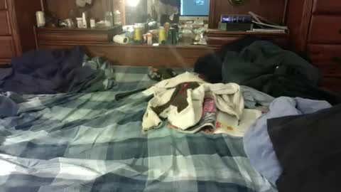 nedddludd online show from 22, 3, 2026