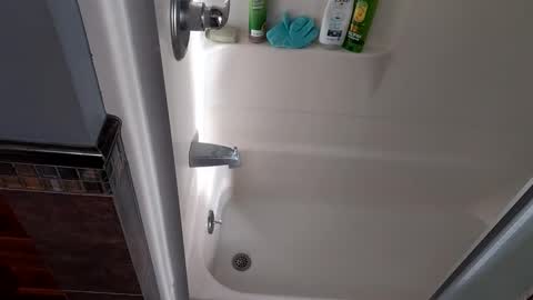 Snapshot of needsub chatting on 27, 11, 2025 needsub online show from 27, 11, 2025