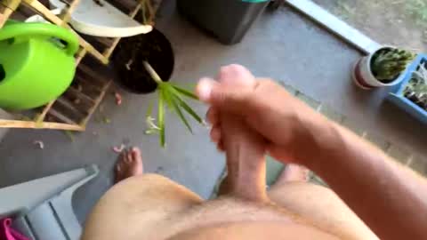 nellyd332169 online show from 7, 1, 2026