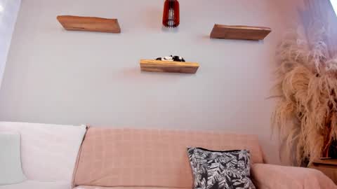 Jordan online show from 3, 3, 2026