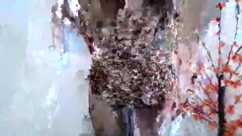 Snapshot of nerii11i chatting on 15, 1, 2026 Crystal New online show from 15, 1, 2026