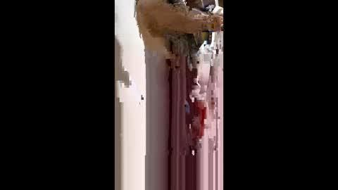 Snapshot of nermigarciaaguilar314 chatting on 4, 6, 2026 nermigarciaaguilar314 online show from 4, 6, 2026