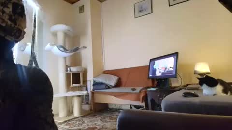 nessieanalemma online show from 24, 2, 2026