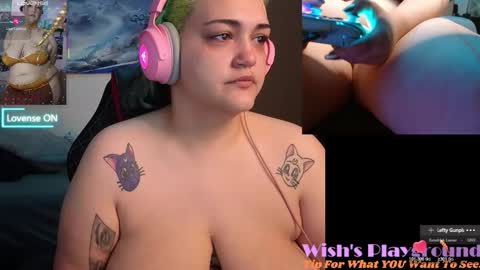 Snapshot of nevermakeawish chatting on 29, 11, 2025 Wishs Playground online show from 29, 11, 2025