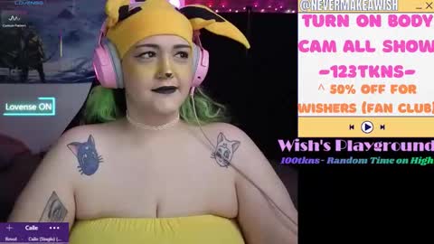 Wishs Playground online show from 17, 2, 2026