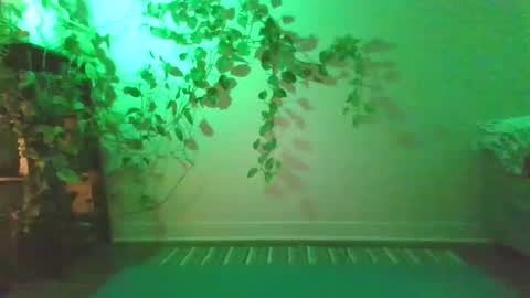 Snapshot of new__moon chatting on 27, 12, 2024 luna online show from 27, 12, 2024